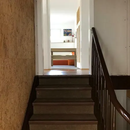 Pfeifer 2